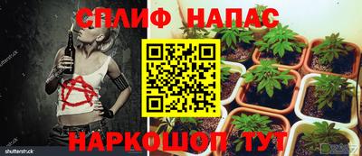 соль ск Обнинск
